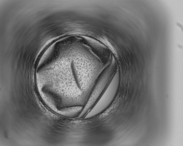 X0000096481000200802141717