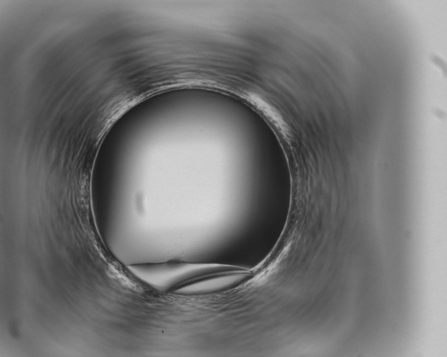 X0000096481001200802141717