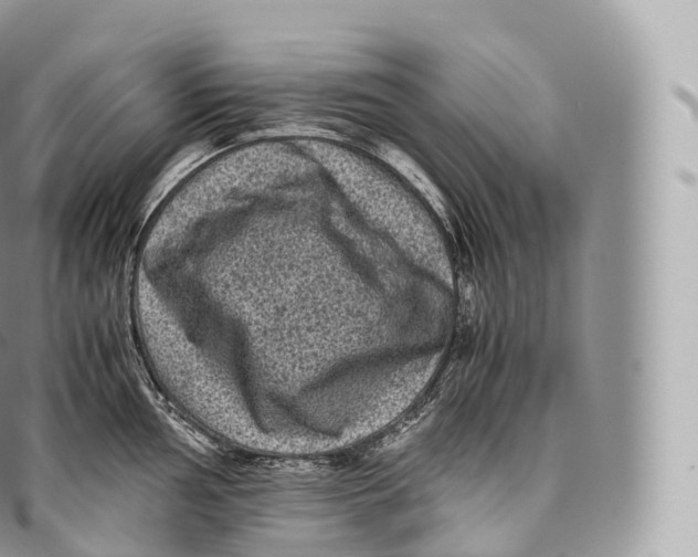 X0000096481002200802141717