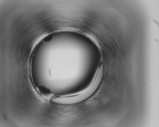 X0000096481003200802141717