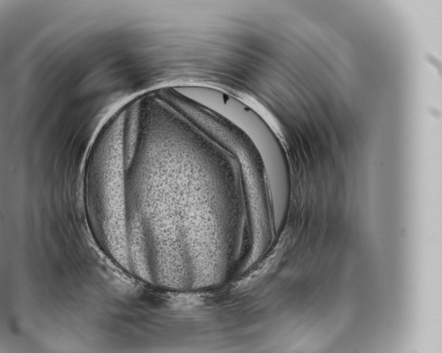 X0000096481004200802141717