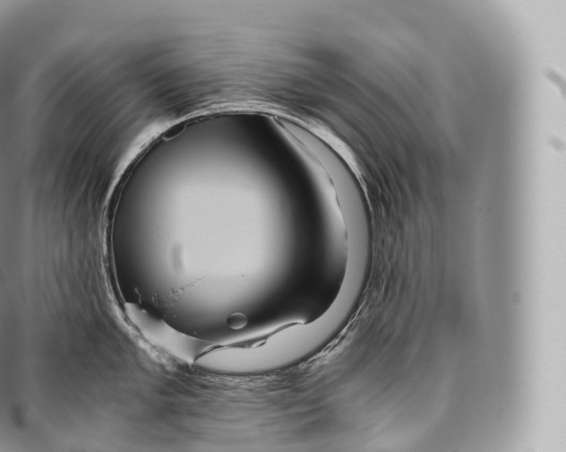 X0000096481005200802141717