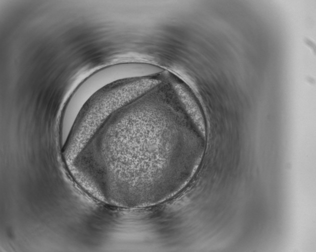 X0000096481008200802141717