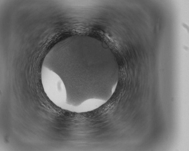 X0000096481009200802141716