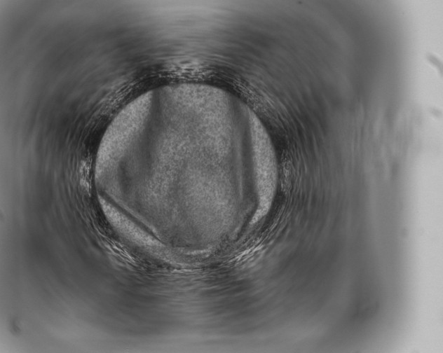 X0000096481010200802141716