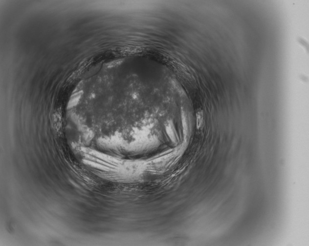 X0000096481011200802141716