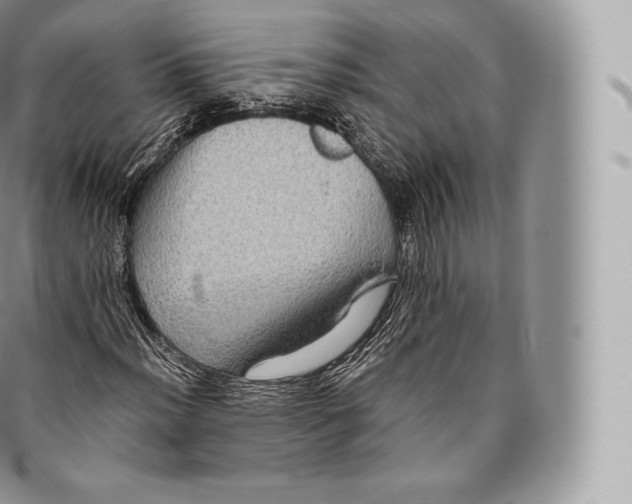 X0000096481012200802141716