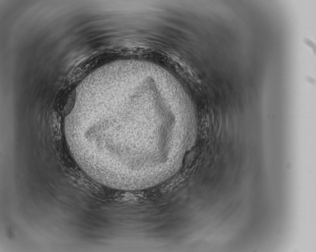 X0000096481013200802141716