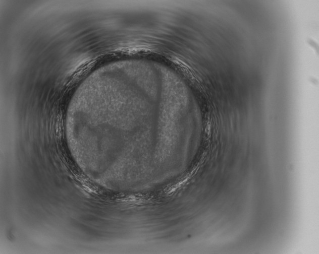 X0000096481014200802141716