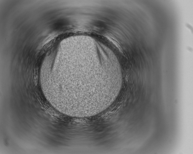 X0000096481015200802141717