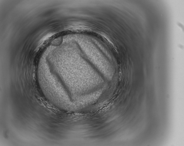 X0000096481016200802141717