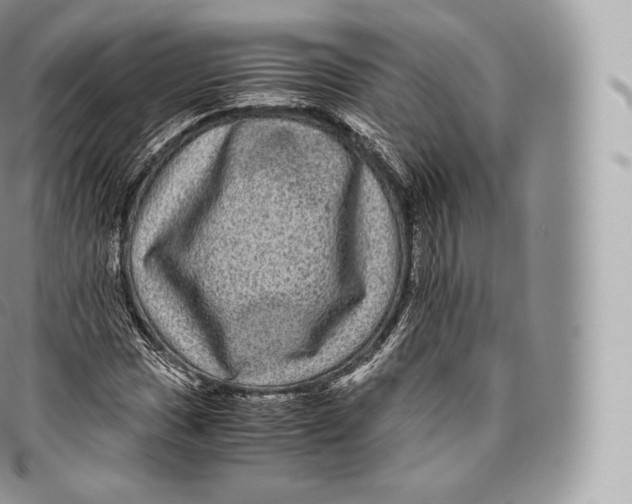 X0000096481017200802141717