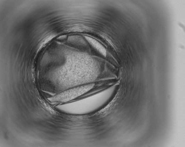 X0000096481018200802141717