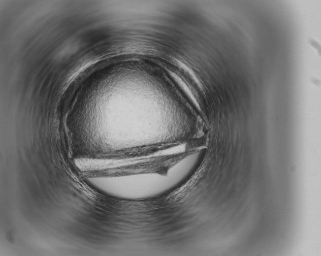 X0000096481019200802141717