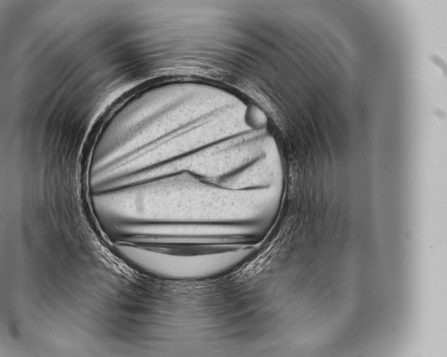 X0000096481020200802141717