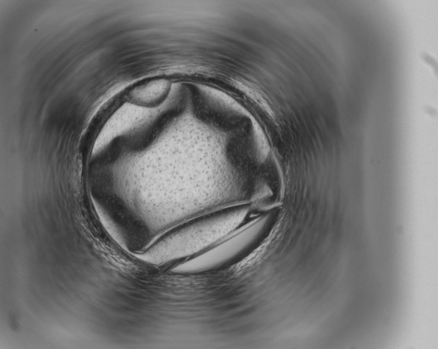 X0000096481021200802141717