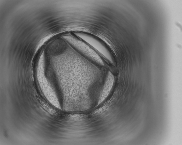 X0000096481022200802141717