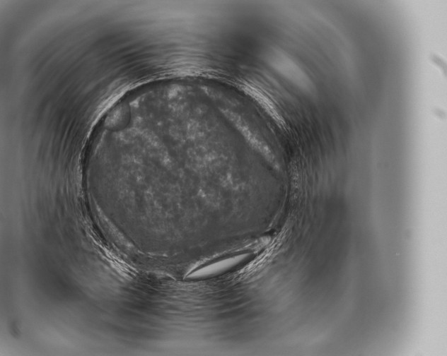 X0000096481023200802141717