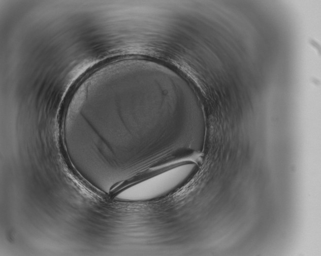 X0000096481024200802141717