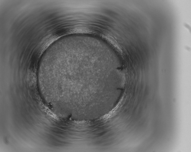 X0000096481025200802141717