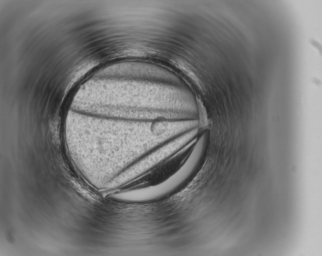 X0000096481026200802141717