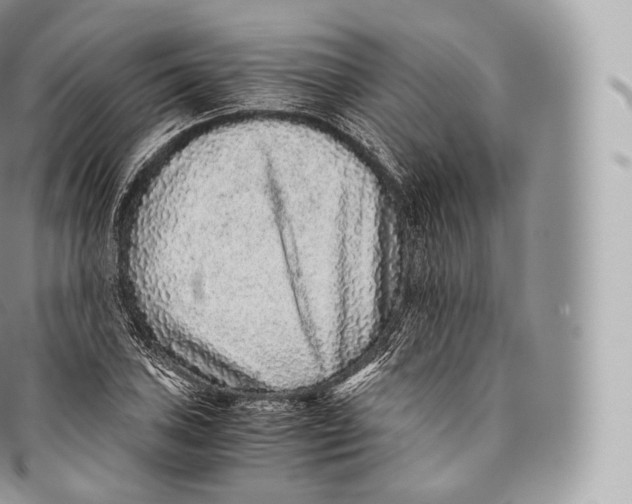 X0000096481027200802141717