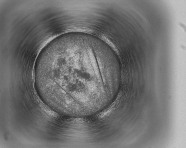 X0000096481028200802141717