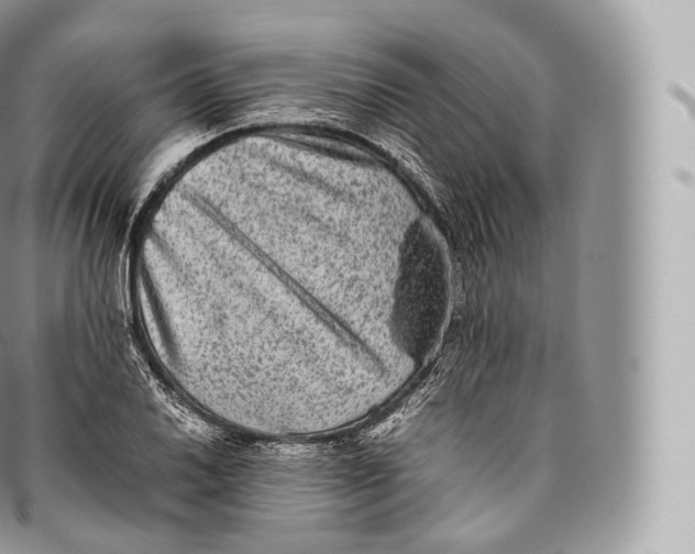 X0000096481030200802141717