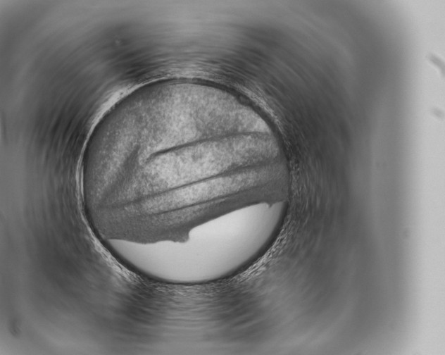 X0000096481032200802141717