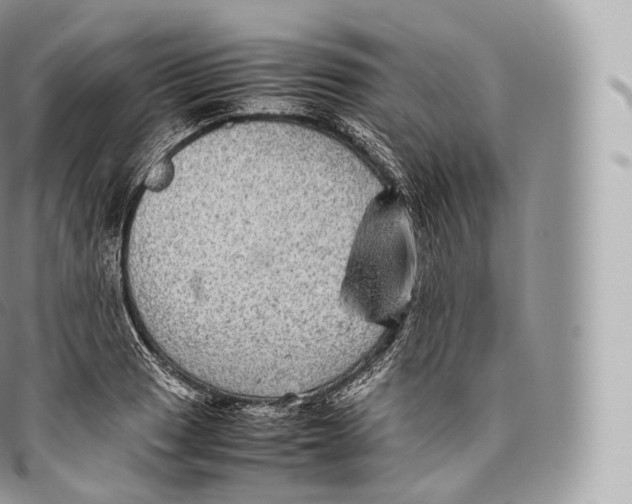 X0000096481033200802141717