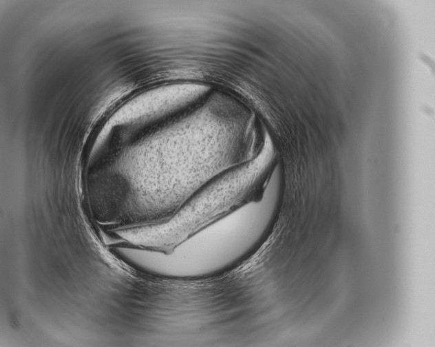 X0000096481034200802141717