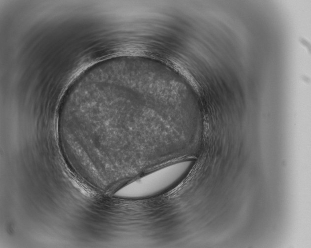 X0000096481035200802141717