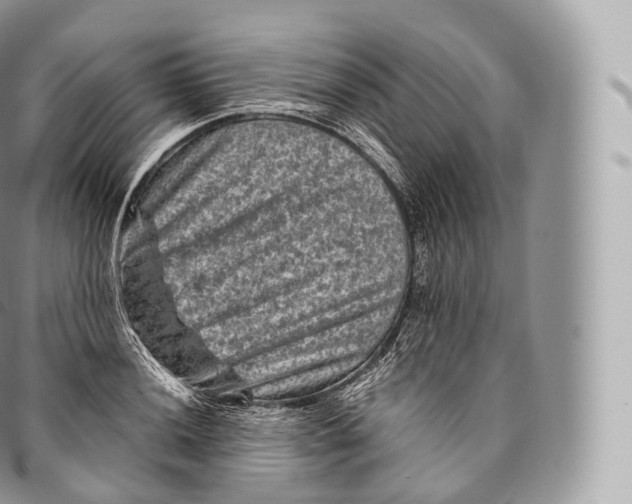 X0000096481036200802141717