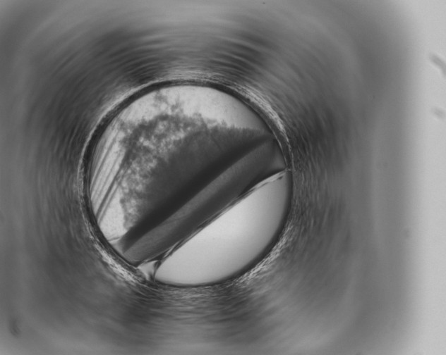 X0000096481037200802141717