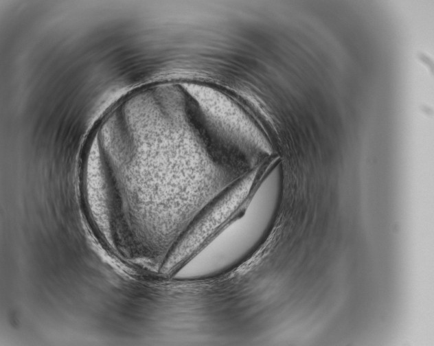 X0000096481038200802141717