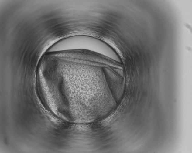 X0000096481040200802141717