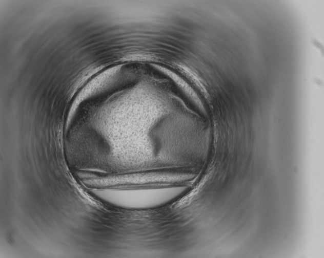 X0000096481041200802141717