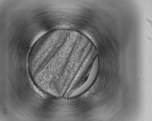 X0000096481042200802141717