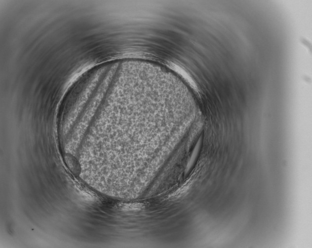 X0000096481043200802141717