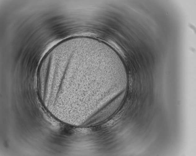 X0000096481044200802141717