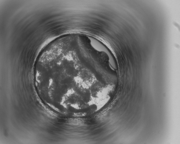 X0000096481045200802141717