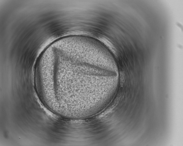 X0000096481046200802141717