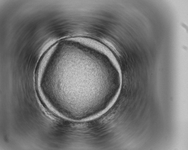 X0000096481047200802141717