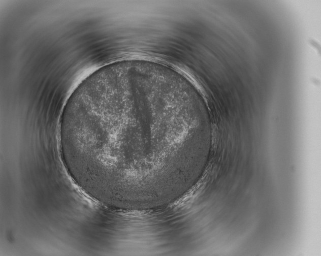 X0000096481048200802141717