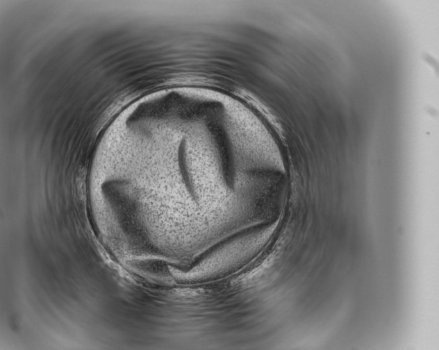 X0000096481049200802141717