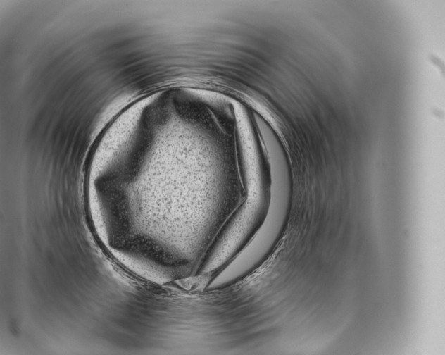 X0000096481050200802141717