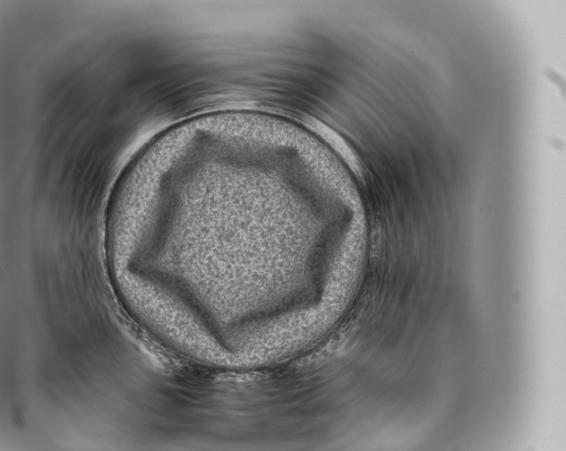 X0000096481051200802141717