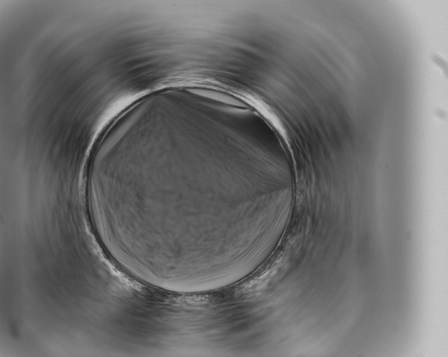 X0000096481053200802141717