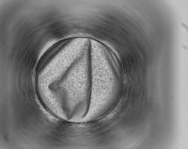 X0000096481054200802141717