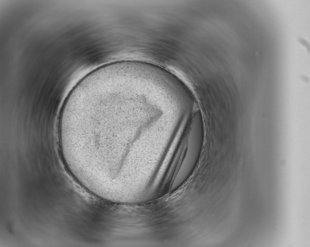 X0000096481056200802141717